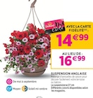 Promo Suspension anglaise à 14,99 € dans le catalogue Delbard à Thiers