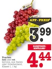 Trauben hell Angebote von Beste Lese bei E center Frankfurt für 3,99 €