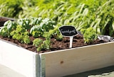 Beetrahmen Elemente von upyard für 12,99 € bei Globus-Baumarkt im Angebot Beetrahmen Elemente von upyard im aktuellen Globus-Baumarkt Prospekt