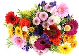 Aktuelle Blumen Angebote bei REWE in Düsseldorf Aktuelles Blumenstrauß "Surprise" Angebot bei REWE in Düsseldorf ab 3,99 €