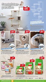 Katzenstreu im Raiffeisenmarkt Prospekt in Ibbenbüren Aktueller Raiffeisenmarkt Prospekt mit Katzenstreu, "Mach dich bereit! Weihnachten steht vor der Tür!", Seite 4