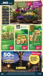 Dekofiguren Angebot & Preis im aktuellen Netto mit dem Scottie Prospekt Dekofiguren Angebot im aktuellen Netto mit dem Scottie Prospekt auf Seite 18