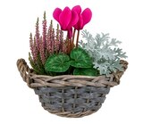 Bepflanzter Korb im Angebot bei Hagebaumarkt in Paderborn Bepflanzter Korb Angebote bei Hagebaumarkt Paderborn für 5,99 €