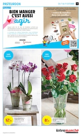 Promos Plantes dans le catalogue "Intermarché" de Intermarché Express Plantes en promo dans le catalogue Intermarché Express à la page 9