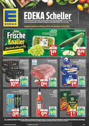 EDEKA Prospekt "Wir lieben Lebensmittel!" für Radeberg, 28 Seiten, 09.02.2026 - 14.02.2026