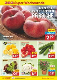 Zitronen im Netto Marken-Discount Prospekt "Aktuelle Angebote" mit 61 Seiten (Stuttgart)