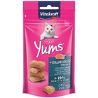Aktuelles Vitakraft® Cat Yums® + Lachs & Omega 3 40 g Angebot bei Zookauf in Hagen (Stadt der FernUniversität) ab 1,29 €
