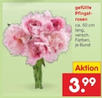 Gefüllte Pfingstrosen für 3,99 € bei Netto Marken-Discount im Angebot Gefüllte Pfingstrosen im aktuellen Netto Marken-Discount Prospekt