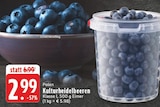 Kulturheidelbeeren Angebot in Hemer Kulturheidelbeeren im aktuellen Prospekt bei E center in Hemer