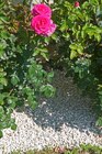 Gravillon calcaire concassé - Jardiland à La Rochelle Gravillon calcaire concassé en promo chez Jardiland La Rochelle à 3,74 €