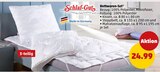 Bettwaren-Set Angebote von Schlaf-Gut bei Penny Pirmasens für 24,99 €