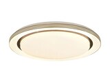 Reality Leuchten LED Deckenleuchte Angebote von Reality Leuchten bei Sconto SB Jena für 29,95 €