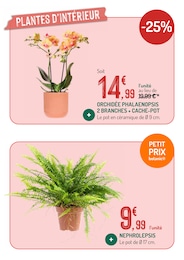Prix et réduction Cache-Pot dans le prospectus Botanic en cours Offre Cache-Pot dans le catalogue Botanic du moment à la page 7