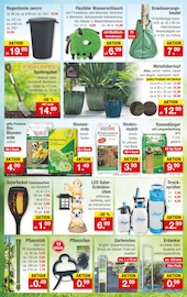 Bio im Zimmermann Prospekt in Delmenhorst Aktueller Zimmermann Prospekt mit Bio, "Mehr als Du denkst!", Seite 8