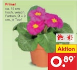 Primel Angebote bei Netto Marken-Discount Aurich für 0,89 €
