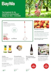 Rotwein im BayWa AG Prospekt in Bietigheim-Bissingen Aktueller BayWa AG Prospekt mit Rotwein, "Top Angebote für die herbstliche Gartenpflege!", Seite 1