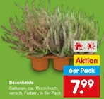 Aktuelles Besenheide Angebot bei Netto Marken-Discount in Mönchengladbach ab 7,99 €
