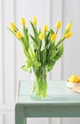 Bouquet de tulipes de glace - U - Super U à Besançon Bouquet de tulipes de glace - U en promo chez Super U Besançon à 5,99 €