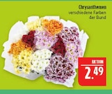 Aktuelle Chrysantheme Angebote bei Marktkauf in Nürnberg Aktuelles Chrysanthemen Angebot bei Marktkauf in Nürnberg ab 2,49 €
