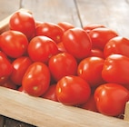 Tomate allongée en promo chez Intermarché Clermont-Ferrand à 1,99 €