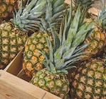 Ananas en promo chez Netto Ananas dans le catalogue Netto