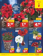 Aktueller Netto Marken-Discount Prospekt mit Weihnachtsstern, "Aktuelle Angebote", Seite 19