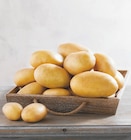 Pomme de terre de consommation nouvelle récolte - Super U à Brive-la-Gaillarde Pomme de terre de consommation nouvelle récolte en promo chez Super U Brive-la-Gaillarde à 2,69 €