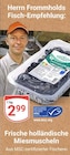 Frische holländische Miesmuscheln im aktuellen GLOBUS Prospekt