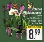Orchidee Phalaenopsis von  im aktuellen EDEKA Prospekt für 8,99 €