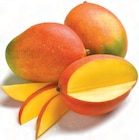 Mango im Angebot bei Netto mit dem Scottie in Brandenburg Mango Angebote bei Netto mit dem Scottie Brandenburg für 1,39 €
