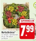 Herbstkränze Angebote bei EDEKA Passau für 7,99 €