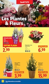 Prospectus Lidl "Votre repas de fêtes" en cours à Quimper, Page 40 Catalogue Lidl en cours à Quimper, "Votre repas de fêtes", Page 40