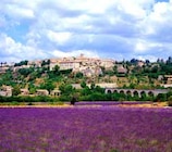 Wandern in der Provence - Südfrankreich im Angebot bei ASTL-Reisen in Rosenheim Wandern in der Provence - Südfrankreich Angebote bei ASTL-Reisen Rosenheim für 1.189,00 €