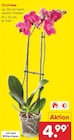 Netto Marken-Discount Wedemark Prospekt mit  im Angebot für 4,99 €