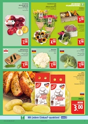 Pflanzen im Marktkauf Prospekt in Leipzig Aktueller Marktkauf Prospekt mit Pflanzen, "AUSWAHL RIESIG, PREISE NIEDRIG", Seite 11