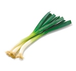 Porree im aktuellen Netto mit dem Scottie Prospekt