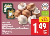 Bio-Champignons, weiß von EDEKA Regional im aktuellen EDEKA Prospekt