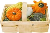 Kaufland Heide - Zierkürbismischung Angebot im Prospekt Zierkürbismischung bei Kaufland im Heide Prospekt für 3,99 €