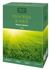 Trocken-Rasen im Pflanzen Kölle Prospekt Trocken-Rasen von Kohls Beste im aktuellen Pflanzen Kölle Prospekt für 17,99 €
