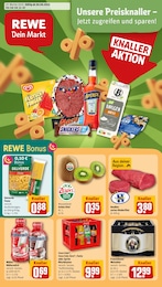 REWE Prospekt für Giengen mit 30 Seiten REWE Prospekt "Dein Markt" für Giengen, 30 Seiten, 30.06.2025 - 05.07.2025