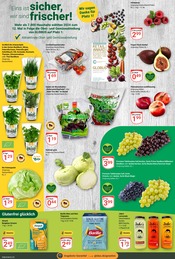 Aktueller GLOBUS Prospekt mit Salat, "Aktuelle Angebote", Seite 10