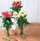 Bouquet de 7 roses africado - Super U à Tours Bouquet de 7 roses africado en promo chez Super U Tours à 6,99 €