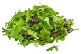 Bio Crispy Salatmix von REWE Bio für 0,99 € bei REWE im Angebot Bio Crispy Salatmix von REWE Bio im aktuellen REWE Prospekt