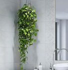 Wandfliese Angebote bei BayWa Bau- und Gartenmärkte Würzburg für 9,99 €