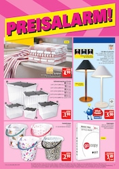 Kopierpapier im Marktkauf Prospekt in Altenburg Aktueller Marktkauf Prospekt mit Kopierpapier, "AUSWAHL RIESIG, PREISE NIEDRIG", Seite 37