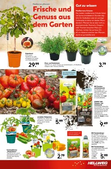 Gartenerde im Hellweg Prospekt "Jubiläums-angebote" mit 16 Seiten (Hamm)