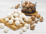 Champignon de paris pied entier blanc ou blond - PRIX MINI à 1,99 € dans le catalogue U Express