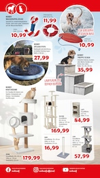 Katzenhaus Angebot im aktuellen Zookauf Prospekt auf Seite 6