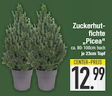 Zuckerhutfichte Picea im aktuellen EDEKA Prospekt für 12,99 €