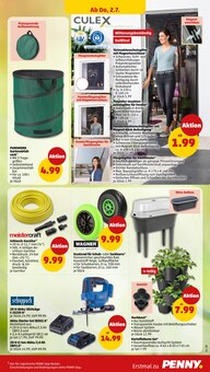 Pflanzen im Penny Prospekt "Wer günstig will, muss Penny." mit 46 Seiten (Braunschweig)
